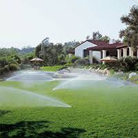 I cannot speak highly enough about drip depot. Sprinkler Heads Sprinkler Systems The Home Depot