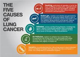 Lung cancer definition lung cancer is a disease in which the cells of the lung tissues grow uncontrollably and form tumors. Lung Cancer Causes Visual Ly