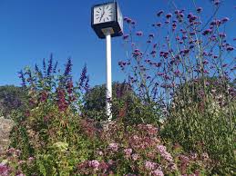 See 59 reviews, articles, and 61 photos of central park, ranked no.73 on tripadvisor among 254 attractions in kolkata. Central Park Plymouth Home Facebook