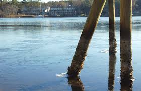 TThhhee BBaaayyy BBeeeaaacccooonn