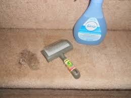 Next, take the rug back inside and vacuum the front and back, doing at least three passes on each side to catch any remaining particles that weren't removed by the beating. Pin By Faux Citrus Farmhouse On Diy Natural Carpet Cleaning Commercial Carpet Cleaning How To Clean Carpet