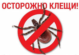 ОСТОРОЖНО КЛЕЩИ