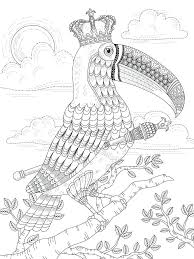 Toucan coloring pages is an extensive collection of contour drawings of a very unusual bird. Toucan Coloring Pages Best Coloring Pages For Kids
