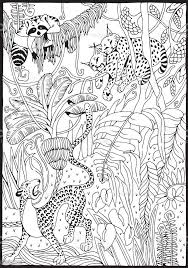 Coloring pages rainforest animals free printable pictures. Jungle 5 Coloring Page Free Printable Coloring Pages For Kids