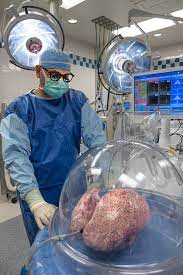 First, a doctor refers a patient to a regional transplant center. Ex Vivo Lung Perfusion Upmc Lung Transplant Program