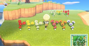 The most common flowers mums green material is metal. Acnh Mums Breeding Guide How To Get All Color Variations Animal Crossing Gamewith