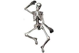 As well as possessing cyanide sweat which is lethal to humans. Search Fun Halloween Party Games Halloween Games Activities Halloween Games For Kids