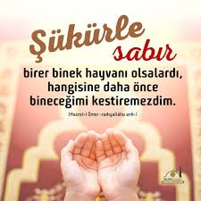 Sukurle Sabir Birer Binek Hayvani Olsalardi Hangisine Binebilecegimi Kestiremezdim Hazreti Omer R A Islam Sabir Islam Dualar