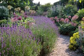 Für die meisten pflanzen sind. Deeg S Pflanzenwelt Gartenpflanzen Deeg Galabau Hof
