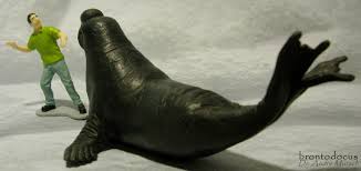 Elephant Seal Schleich Sea Animals 1 32 Elephant Seal Animals Sea Animals