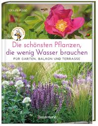 Die Schonsten Pflanzen Die Wenig Wasser Brauchen Fur Garten Balkon Und Terrasse Buch In 2020 Pflanzen Garten Trockengarten