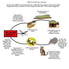 Evaluating Environmental Impact