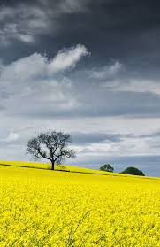 Changeable Weather Beautiful Nature Nature Beautiful Landscapes