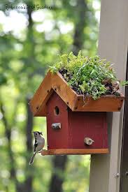 Birdhouse Supplies And Instructions To Construct A Diy Living Roof Birdhouse Featured In Country Gardens Magazine Bird House Living Roofs Bird House Kits