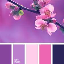Maybe you would like to learn more about one of these? Color Palette 582 Color Balance Spring Color Palette Purple Color Palettes