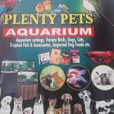 We did not find results for: Top 100 Pet Shops In Thiruvananthapuram Best Pet Store Suppliers Justdial