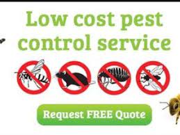 Is it cheaper to hire an exterminator. Pest Control Services In Dubai Golden Leaf Offers Cost Effective Services That Are Completely Adaptable For All Of Y Pest Control Pest Control Services Pests