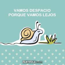Frases De Reflexion Cortas Para Perfil De Whatsapp Pensamientos Fotos Para Perfil Whatsapp Frases Foto De Perfil Perfil Whatsapp