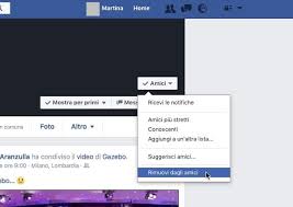 Avere ig collegato con fb ti consente di pubblicare facilmente le tue foto di instagram su facebook. Come Rimuovere Amici Da Facebook Salvatore Aranzulla