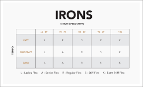 21 Punctual Iron Shaft Flex