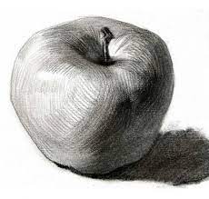 Check spelling or type a new query. Super Fruit Drawing Pencil Apples Ideas Fruits Drawing Still Life Drawing Life Drawing