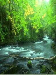 River Gif Download Share On Phoneky Alpha coders 14 wallpapers 4 mobile walls 3 art 3 images. river gif download share on phoneky
