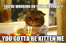 Image Result For Happy Birthday Meme Son Funny Happy Birthday Meme Happy Birthday Cat Happy Birthday Funny