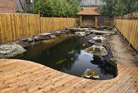 File:japanese friendship garden path koi pond 4.jpg. Japanese Koi Pond Ideas Photos Houzz