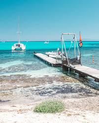 Social sciences, such as psychology, linguistics, sociology, economics, and criminology. Mare Mihai Jurca