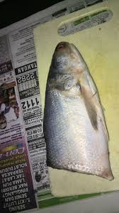 Sambal udang petai masakan kesukaan ramai sedap menyengat. Namakucella Kari Sedap Ikan Senangin