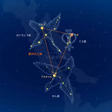 スタディスタイル☆自然学習館