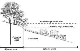 How Are Littoral And Riparian Zones Different Socratic