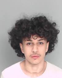 DAVILA MARCELITO‼️ Age: 18 Charges: Charge Code: 12990002 Charge  Description: AGG ROBBERY Charge Date: 02/19/2025 19:51:00 UTC Bond Type:  WITHOUT Bond Amount: Currently Unavailable Disposition Description:  Currently Unavailable Charge Code: 24110003 ...