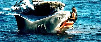 I pescatori nel giro di pochi minuti il piccolo squalo è tornato alla vita di animale libero. Squalo Divora Un Turista Scozzese Ritrovata La Mano Nello Stomaco Identificato Dalla Fede Secolo D Italia