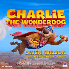 Charlie the Wonderdog vs Puddy the Evil Cat...⁠ ⁠ Coming to theaters  January 16th!!! ⁠ ⁠ #OwenWilson #CharlietheWonderdgo #Cats #Dogs