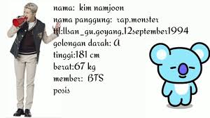 Pasti kalian ingin tahu lebih di mini album kali ini, bts akan berduet dengan penyanyi asal amerika bernama halsey di lagu berjudul. Biodata Lengkap Para Member Bts Youtube