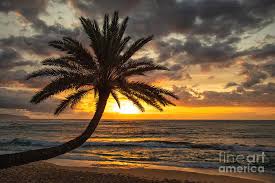The big surf season for sunset beach runs from october thru april. Sunset Beach Hawaii Photograph By Bret Barton