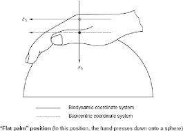 Pdf Active Vibration Control To Attenuate Hand Arm