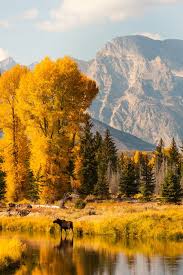 27 Photos That Will Help You Fall In Love With Fall Autumn Scenes Beautiful Landscapes Autumn Scenery