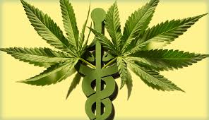 Getting Your Favorite Cannabis Products Easily
