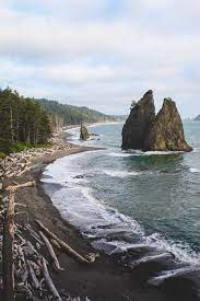 Driftwood Beach Oregon Places To Visit Places To Travel Places To Go