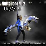 Mutts Gone Nutts - Unleashed!