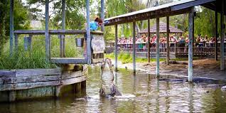 There's no photo available at the time of writing. The Best Things To Do In Myrtle Beach Myrtlebeach Com