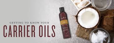 Getting To Know Your Carrier Oils Carrier Oil For