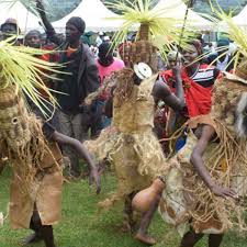 Image result for Mimulopsis solmsii