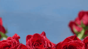 Maybe you would like to learn more about one of these? Red Flower Gifs Get The Best Gif On Giphy