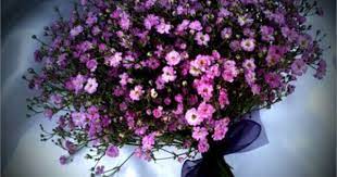 Pin On Wedding Bouquets Flowers