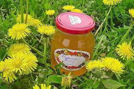 Lowenzahnhonig Von Avola0 Chefkoch In 2020 Lowenzahnhonig Lowenzahnsirup Marmeladenrezepte