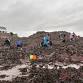 Free Family Rock Pooling & Push Netting