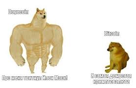 Think of it as the internet currency. Who Let The Doge Out Ili Zachem Priobretat Altkoiny Blog Kompanii Vdsina Ru Habr